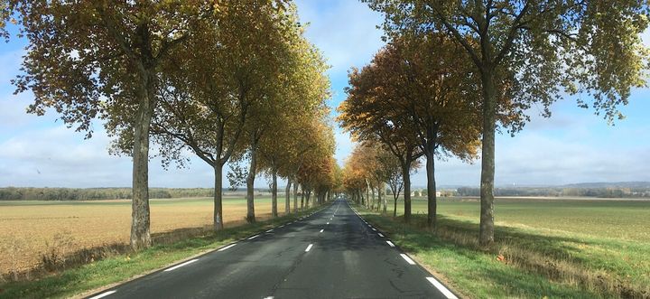 Chouzé-sur-Loire - 8 November 2018